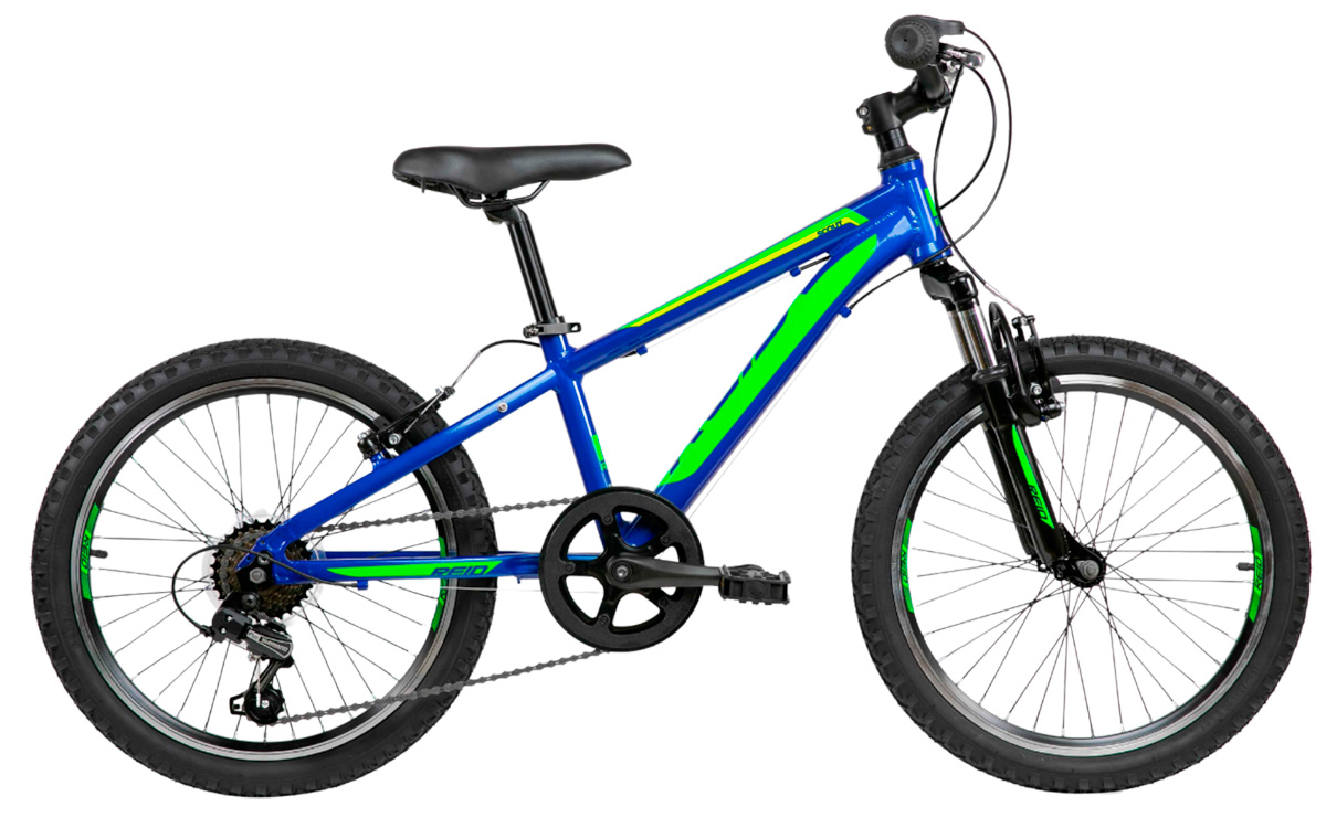 Фотографія Велосипед Reid Scout 20" 2021 Синьо-зелений